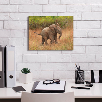 " Epic Graffiti 'Baby African Elephant2 By David Stribbling, Canvas Wall Art " by David Stribbling