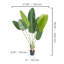 60 plantes