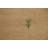 Tribal Gabbeh Indian Runner Rug 3x10