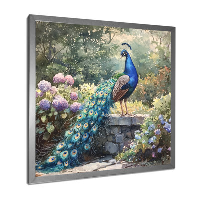Hamon Peacock In Full Display I - bird Wall Art