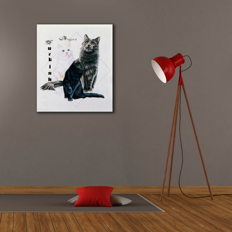 «Turkish Angora» par Barbara Keith sur, H 30 po x l 26 po x P 1,5 po