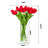 Natural Fibres Tulip Arrangement in Vase-856996946