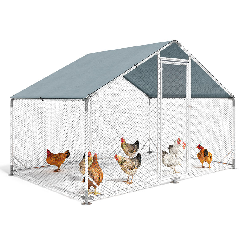 Chicken Coop For Up To 48 Chickens, 194.1cm H x 199.9cm W x 300.2cm D