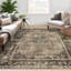 Tapis décoratif pour la maison - Doux, résistant, facile à nettoyer - Design moderne, idéal pour le salon et la chambre