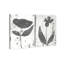 Single Flowers Set Set by Oliver Gal-72525488-195375606