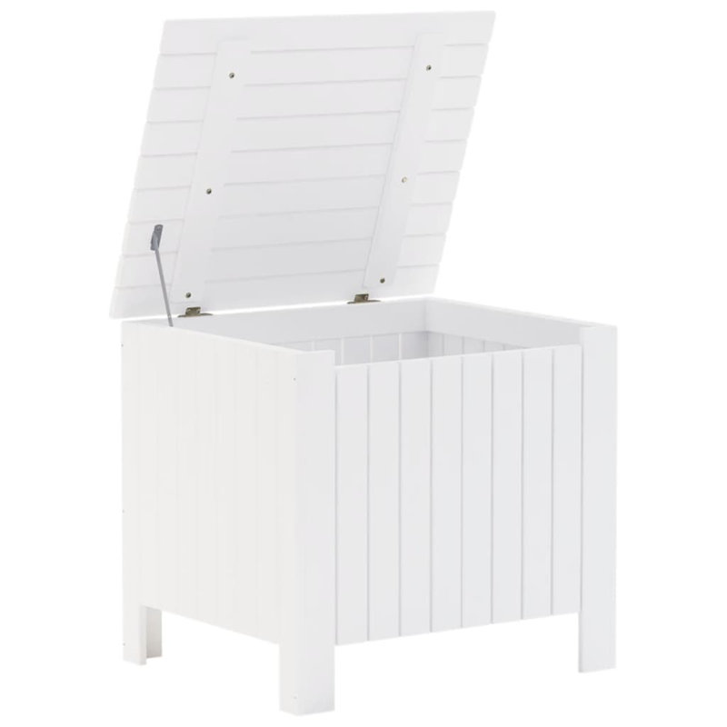 Boîte de rangement Vidaxl, H 21,3 po x l 23,6 po x P 19,3 po, Blanc