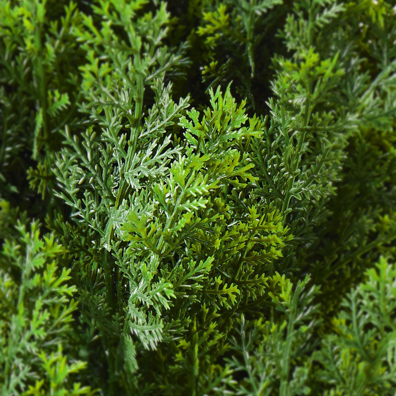 Artificial Cedar Topiary, 10.63" H x 14.17" W x 39.37" D