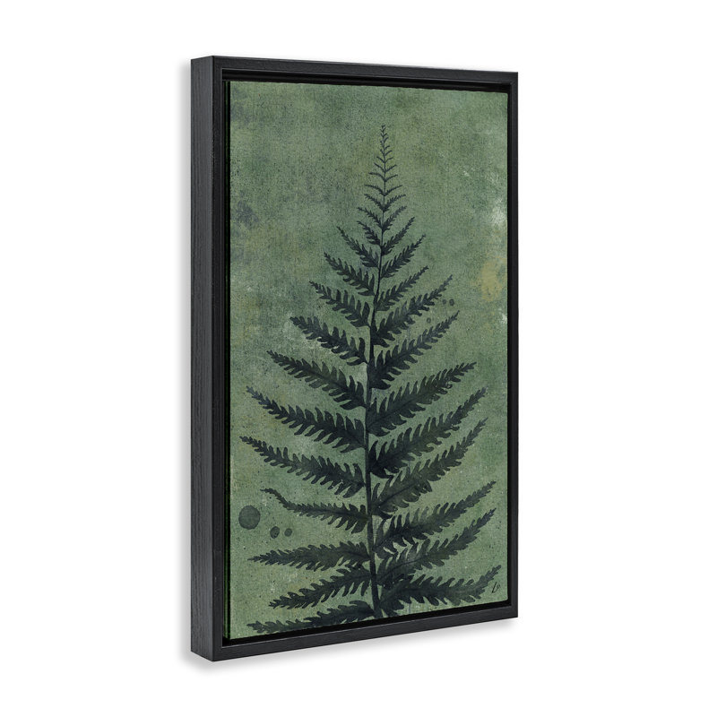  «Rustic Fern Impression» par Lydia Orange, Cadre flottant noir de jais, H 25 po x l 17 po