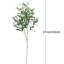 3 branches d'olivier artificiel 37 pouces avec fruits, tiges de verdure artificielle avec feuilles pour décor de maison de campagne rustique, grands arrangements de vase, décorations de mariage et de fêtes