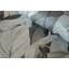 Tropical Collection 4 Panel Wall Mural 8.8' L x 110.2" W in A Tropical Forest Design-73448047