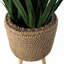 Cachepot