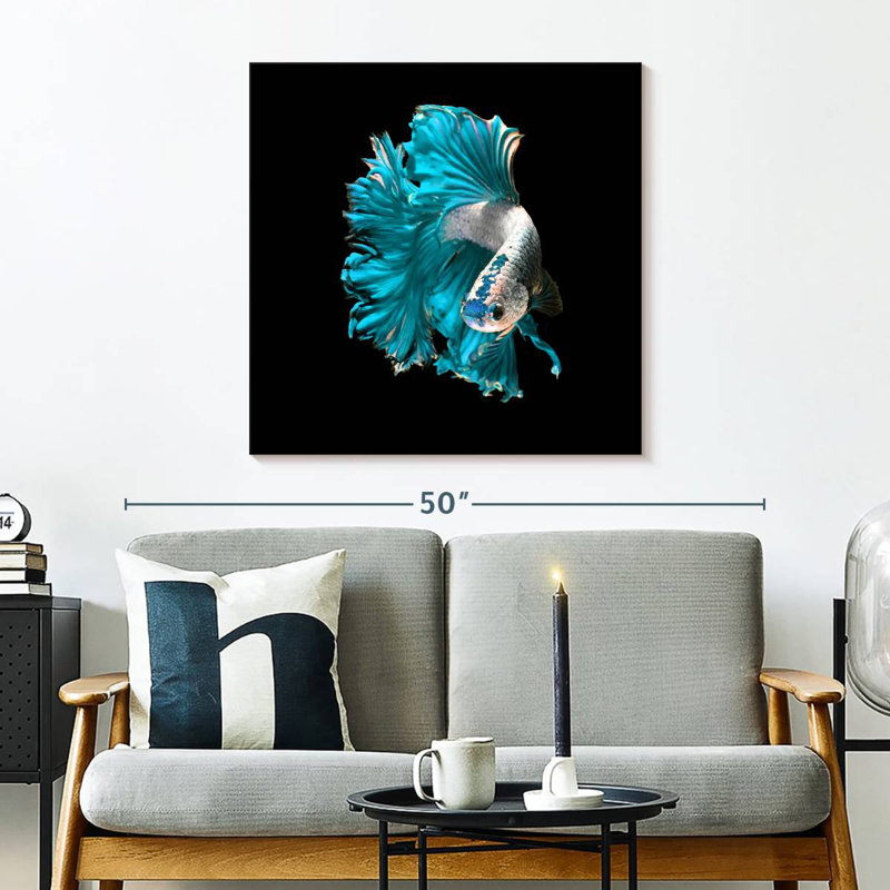 Brampt Plush Fighter Fish, 30" H x 30" W