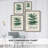 Collected Ferns IX Framed Print - Solid Wood 2775369