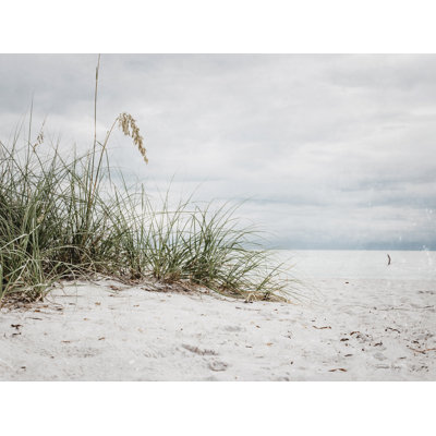 " Vintage Beach Grass II " by Jennifer Rigsby