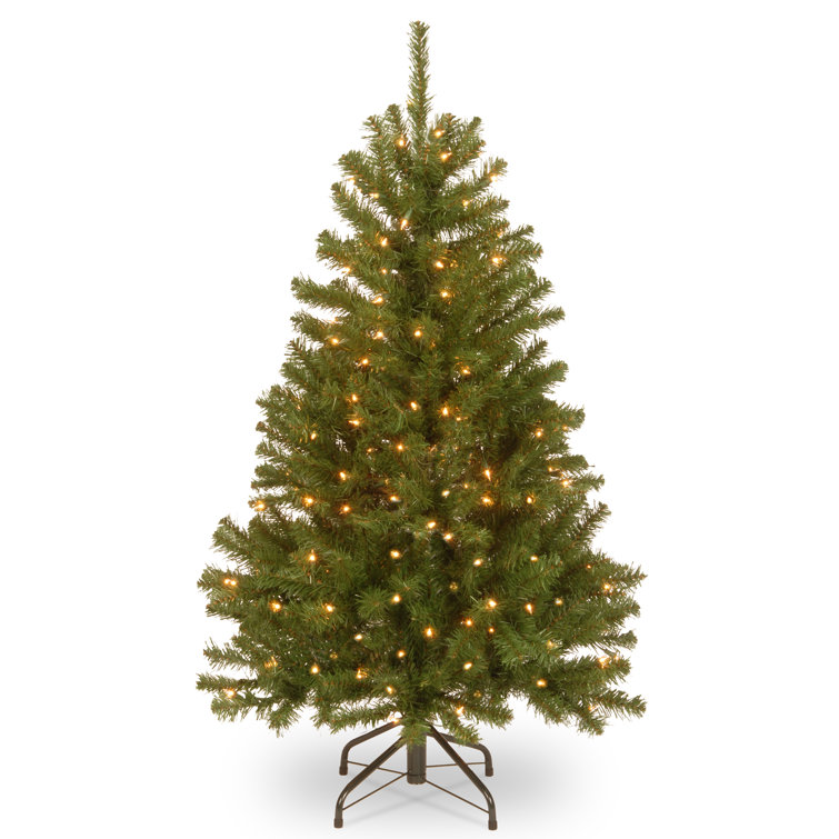 Norwood fir christmas tree clearance