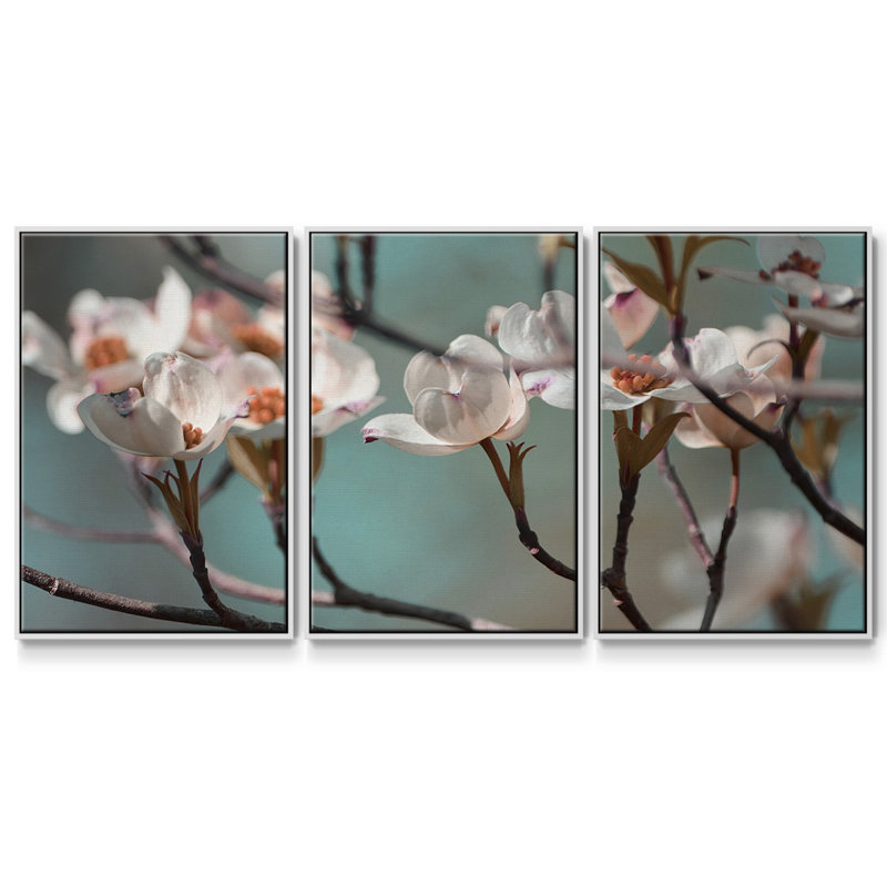 Dogwood Spring IV, reproduction sur toile 3 pièces, H 24 po x l 48 po x P 2 po, Blanc