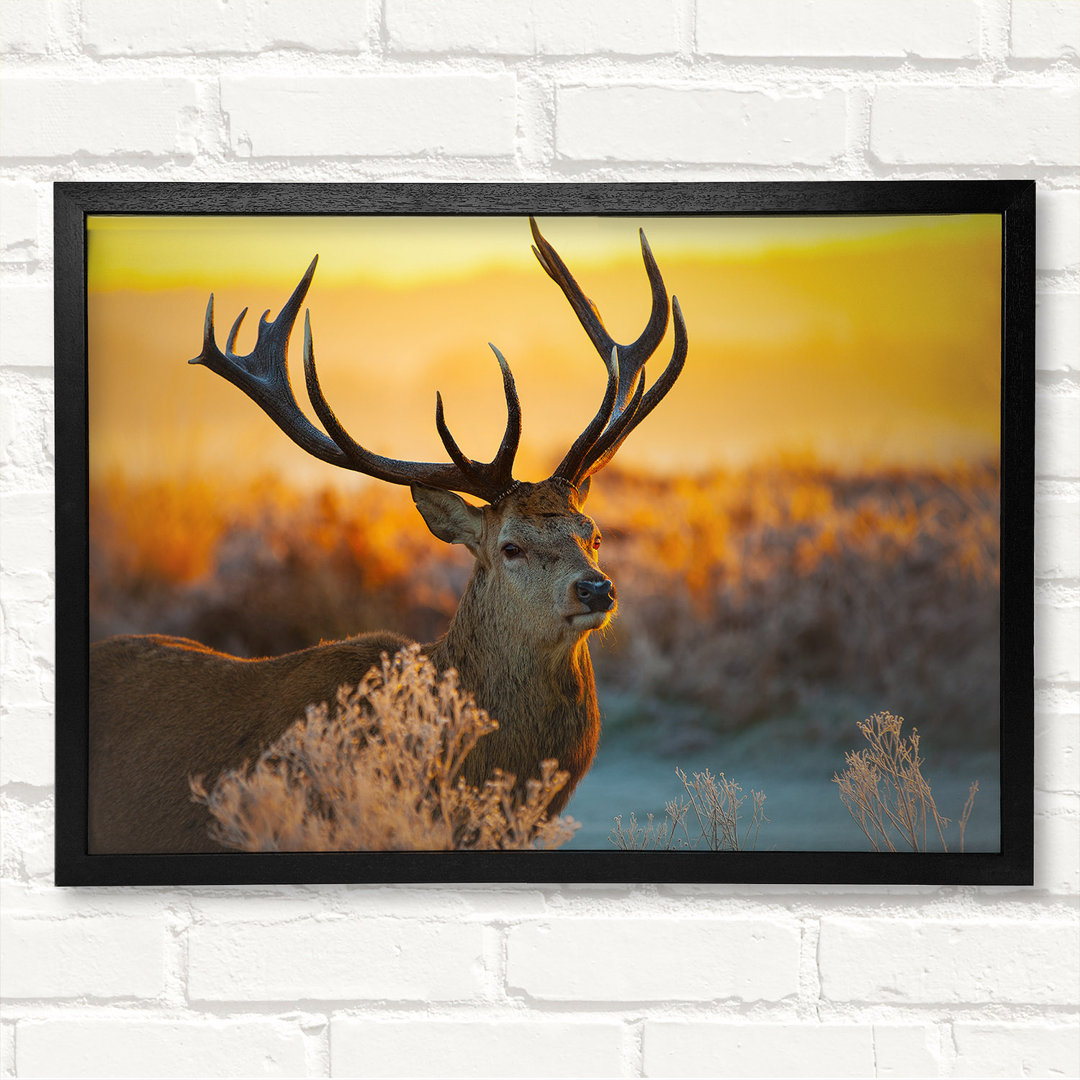 Crisp Winters Stag - Closed Corner Frame Kunstdrucke auf Holz