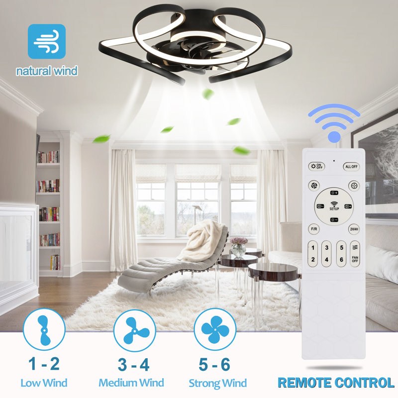 Draevyn 22'' Ceiling Fan with LED Lights