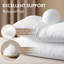 Coussin décoratif de qualité supérieure en microfibre vierge avec housse 100% coton-119313914-119313920