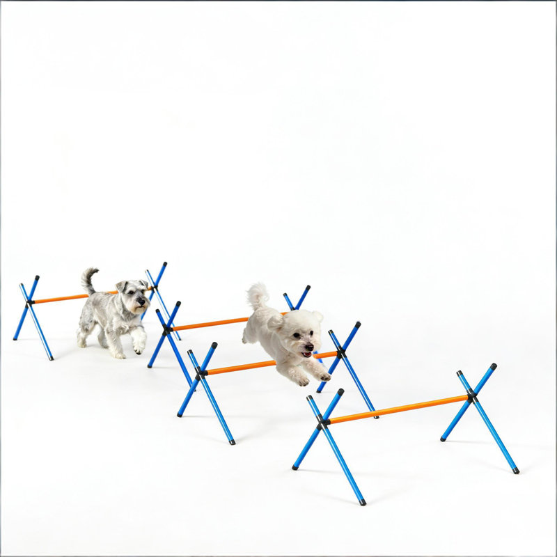 Ensemble de parcours 4 pièces d'agilité pour chien avec sauts à hauteur réglable, équipement de formation portatif pour petits chiens et chiots, assemblage sans outil avec sac de transport