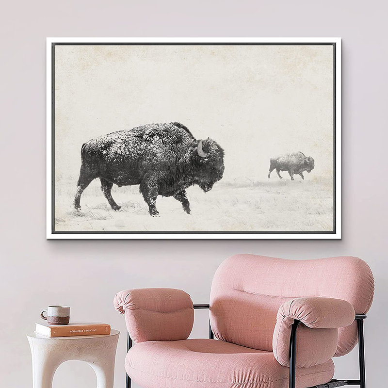 Black & White Bison Buffalo Landscape Canvas Print, 16" x 24"
