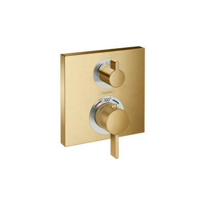 Ecostat Shower Faucet Trim Valve Trim Only
