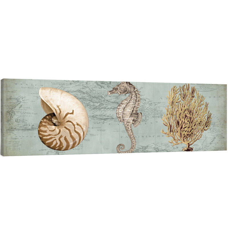 «Sea Treasures I», reproduction d'impression sur toile tendue, H 18 po x l 26 po x P 1,5 po, Toile tendue
