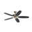 52'' Ceiling Fan-1187541457
