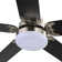 Derick 52'' 5-Blade Modern Ceiling Fan with LED Light and Remote Control