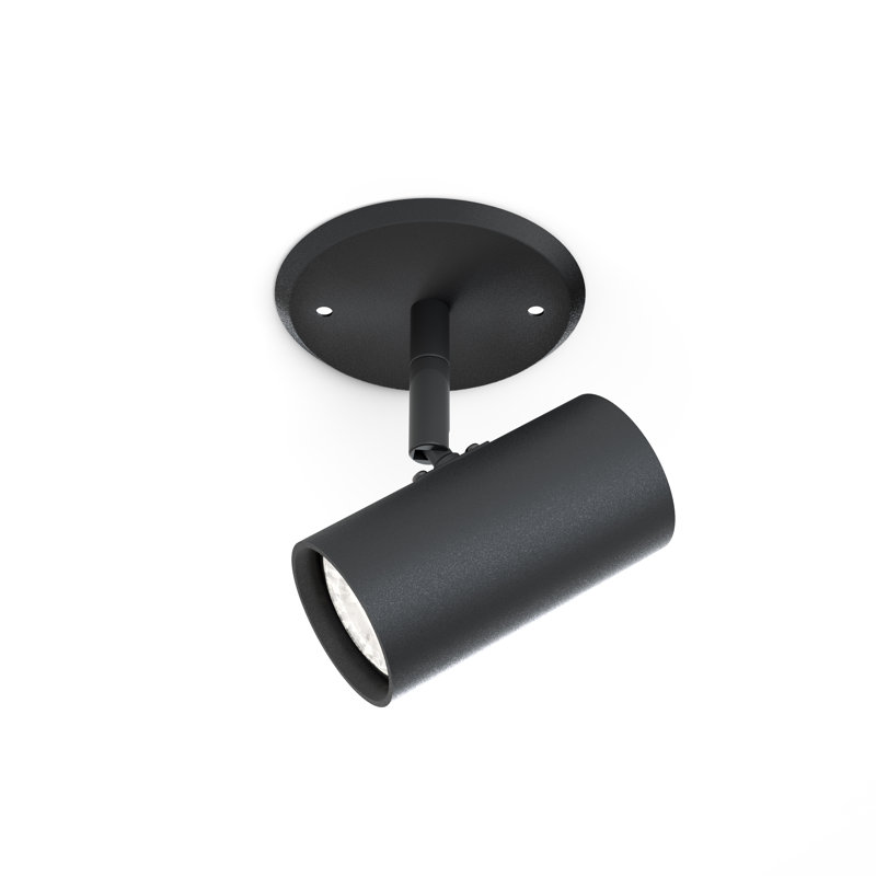 Ceiling Spotlight, Black