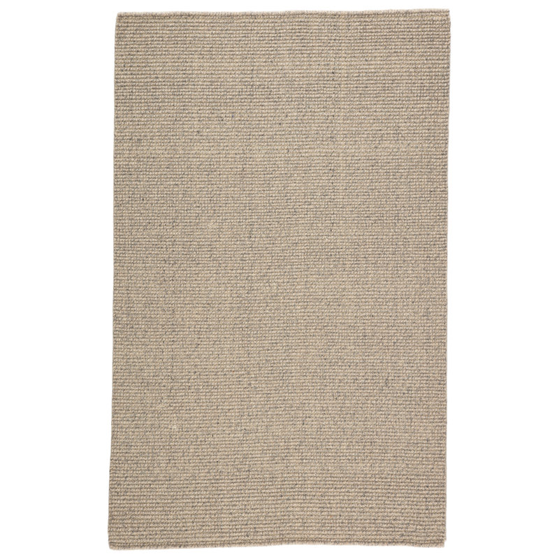 Chael Area Rug in Light Gray, Rectangle 2' x 3'