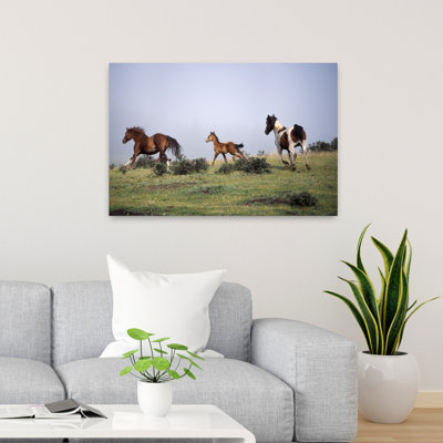 Chevaux et poulain courant dans un pré, art contemporain de paysage de cheval contemporain