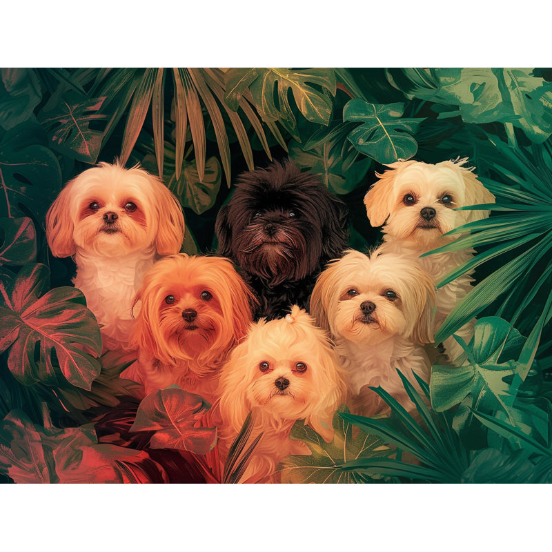 Tapis de bain pour chien, L 21 po x L 34 po