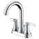 Davvid Centerset 2-handle Bathroom Faucet with Drain Assembly