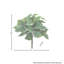 Buisson anti-UV 16 po
