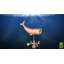 Girouette baleine