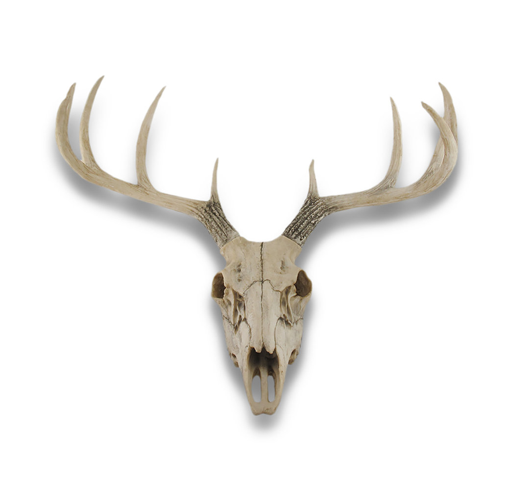 Rustic Animals Wall Decor on Resin Foundry Select