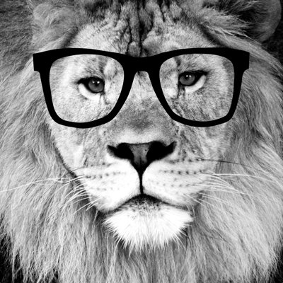 " Hippest Lion " by Allyson Johnson