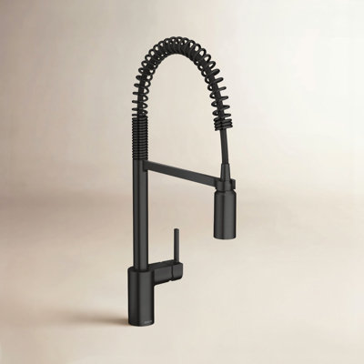 Align Spring Pull-Down Kitchen Faucet