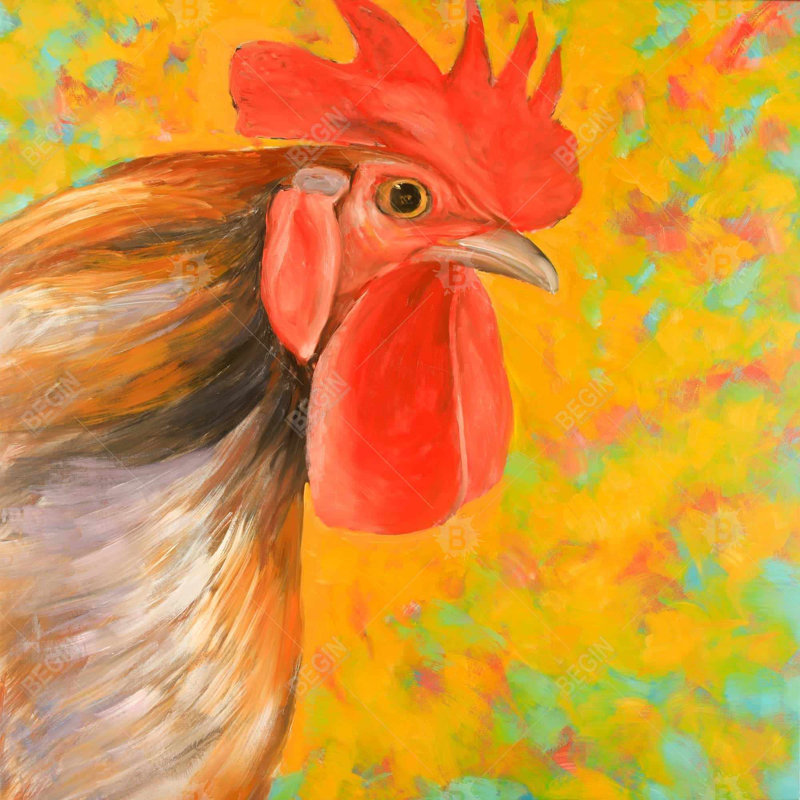 «Colorful Rooster»