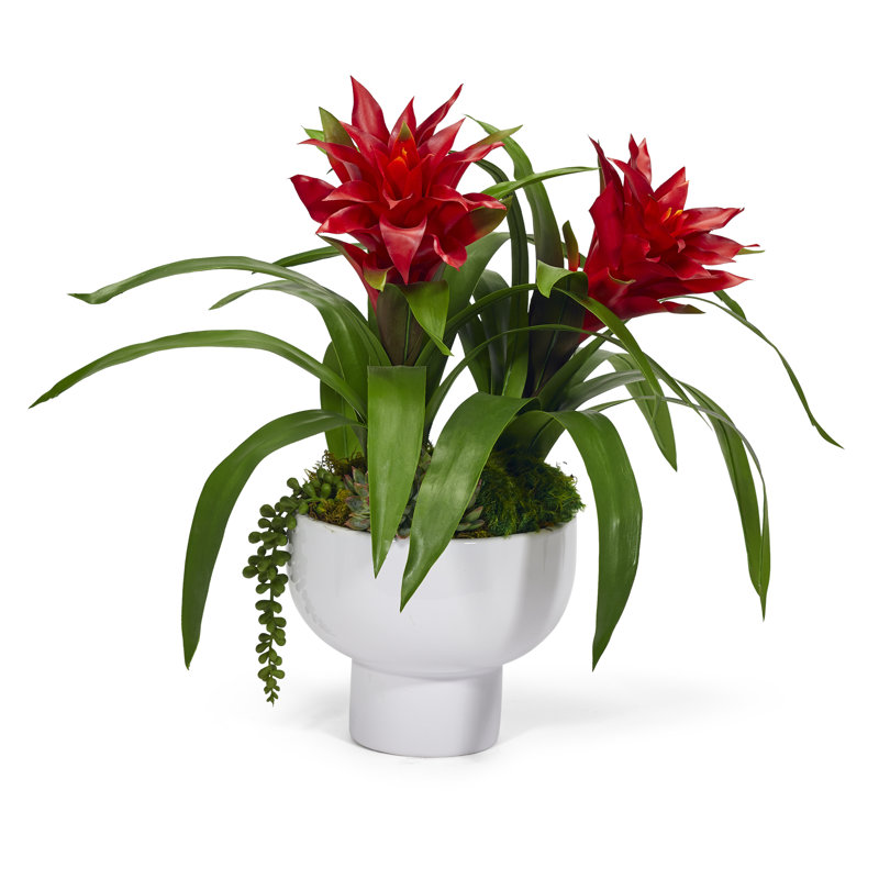 Bromelaid Floral Arrangement in Pot, Red
