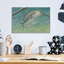  'Fresh Catch 2' by James Wiens Acrylic Glass Wall Art, 16" x 12"-2004311169
