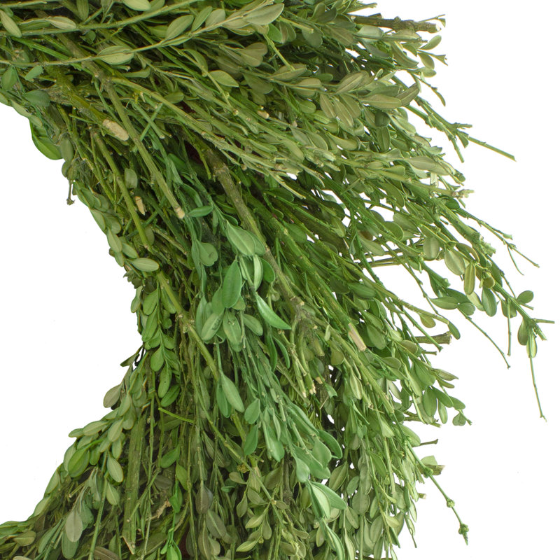 Green Foliage Artificial Spring Wreath 20-Inch