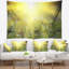 Paysage, coucher de soleil brillant au-dessus d'une tapisserie de fleurs printanières-28485971