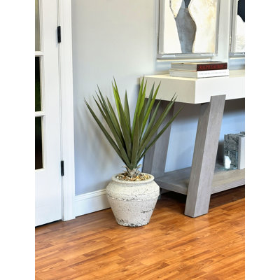 Yucca Plant in Stone Pot with Rocks