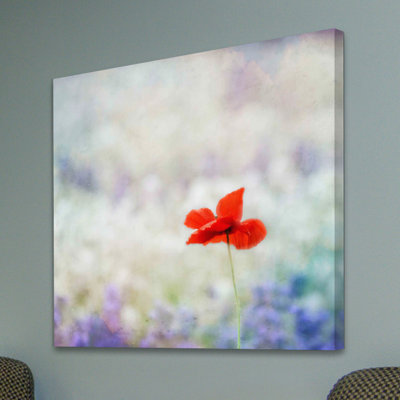 Dream On 2 by Robert Dickinson - Wrapped Canvas Print