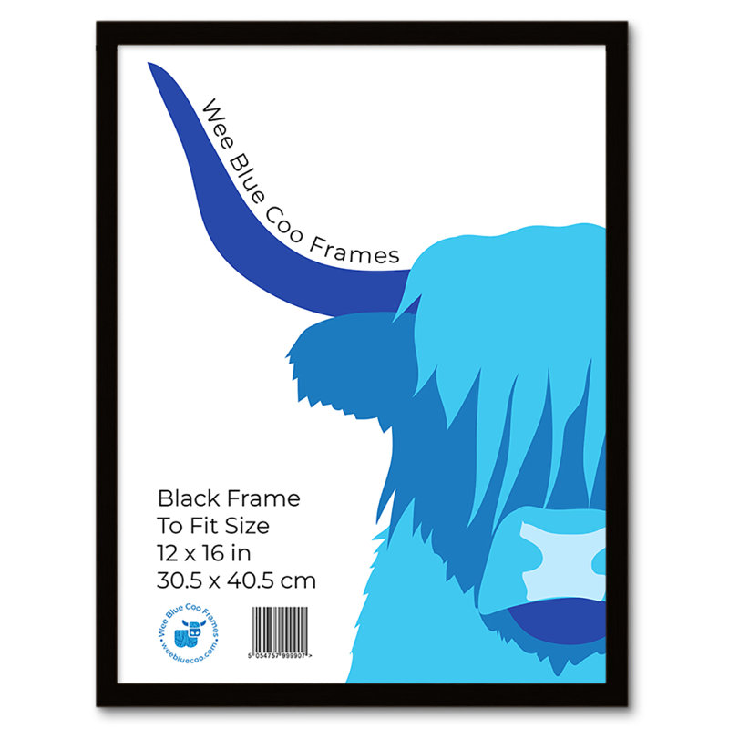Picture Frame, Black, 43.3cm H x 33.3cm W