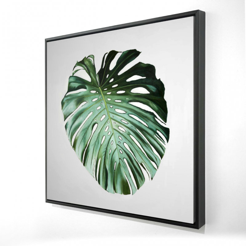" Monstera Leaf "