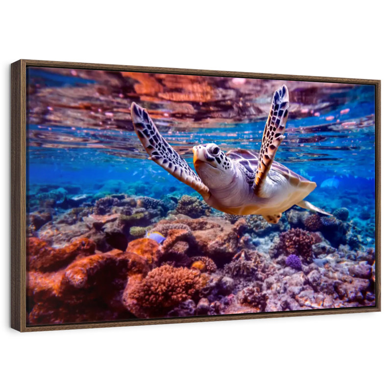 Tortue de mer sur un récif de corail, 25 po x 17 po, Cadre flottant en noyer