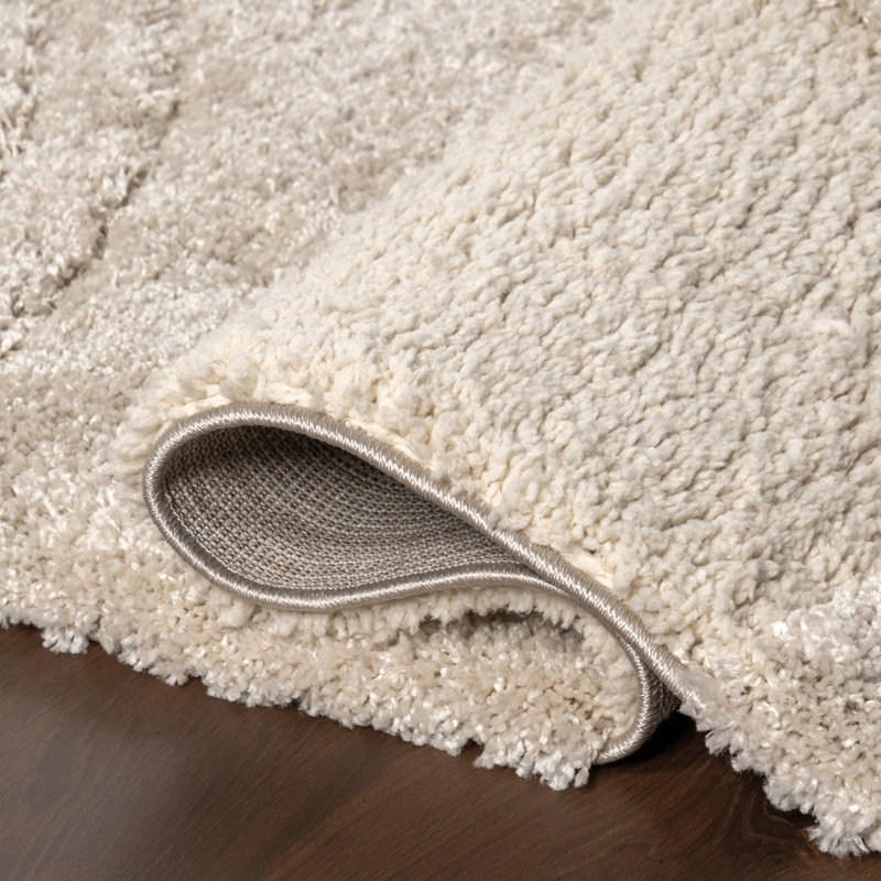 Gloria Abstract Shag Area Rug, Rectangle 4' x 6'